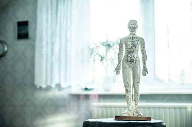 La osteopatia en el cuerpo humano